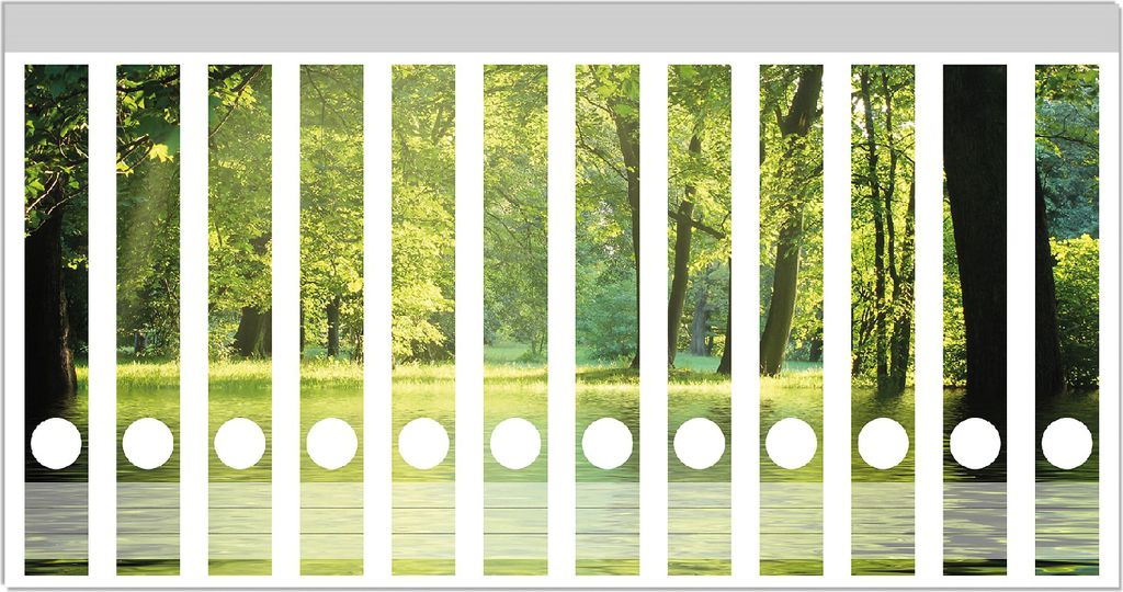 Wallario Ordnerrücken Sticker, selbstklebend für schmale Ordner, 12 Stück, Motiv Idyllischer See im Wald bei Sonnenschein