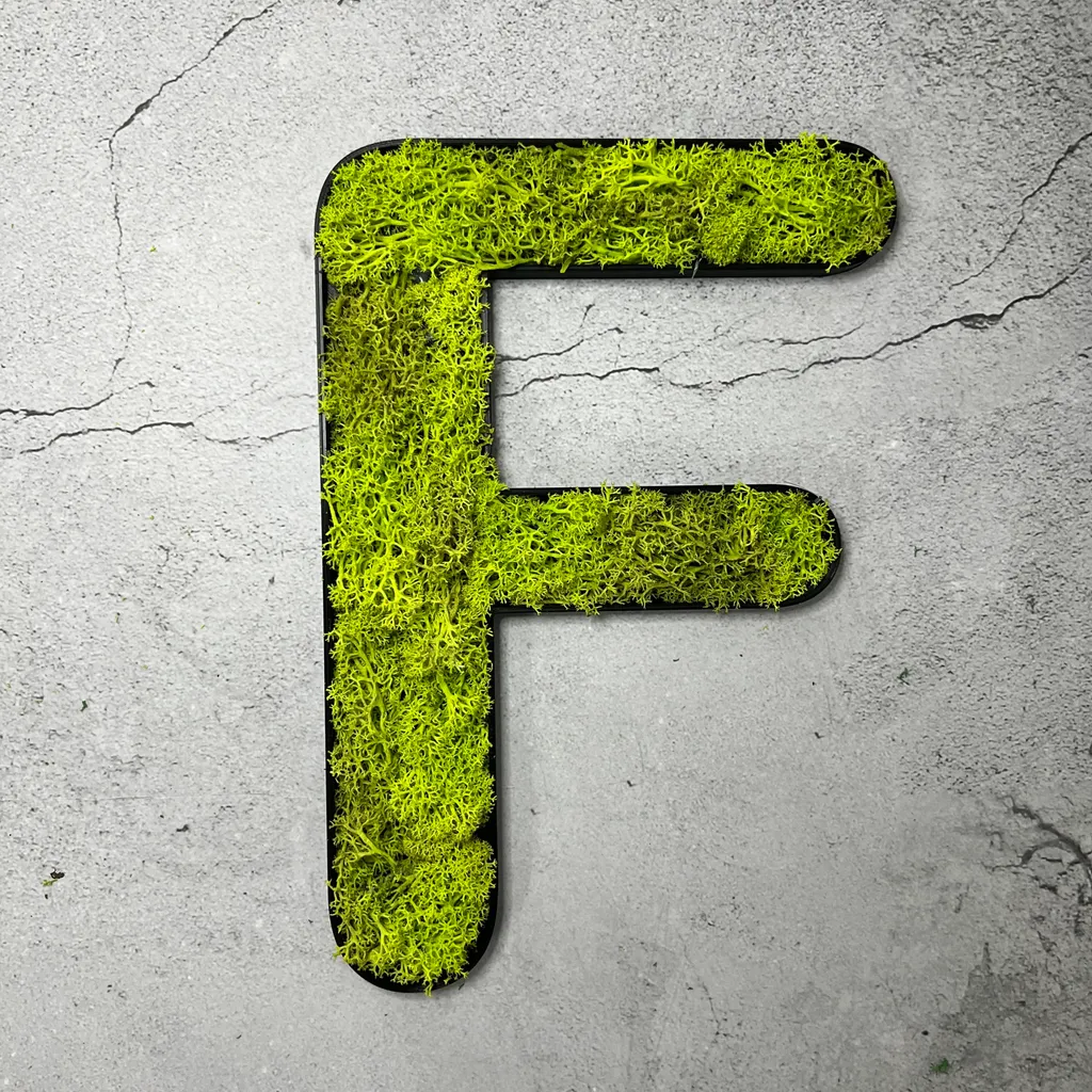 Lettera F Muschio d'Islanda Stabilizzato - Verde Primavera Alta Densità
