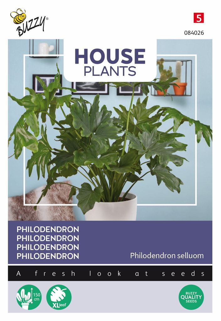Buzzy House Plants Philodendron Selluom Samen - Ca. 20 Samen | Buzzy_084026