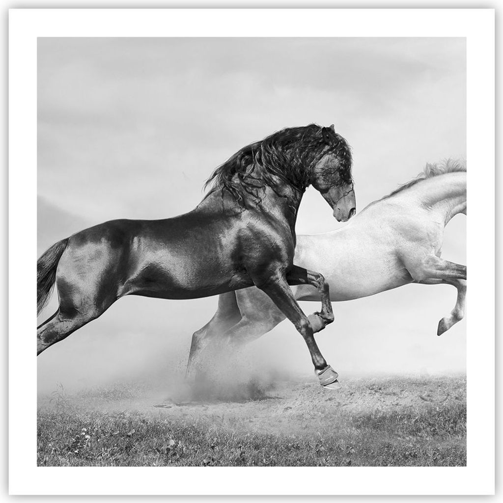 Poster - Poster ohne Rahmen - Pferde Tiere Galopp Wiese - 60x60 cm - Wand Bild - Wanddeko - Wandbilder - Kunstposter - Wandposter - Bilder - Kunstd...