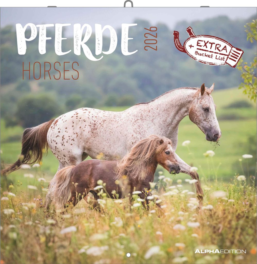 Alpha Edition - Pferde Kalender 2026 - Wandkalender & Bildkalender 30x30 cm - Für Reit- & Pferdefreunde - 12 beeindruckende Pferde-Fotografien, vi...