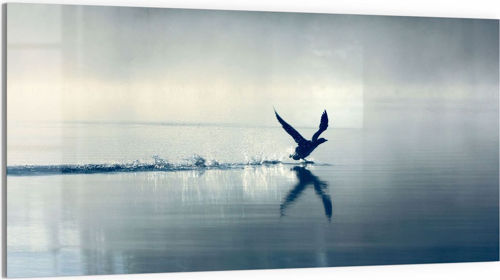 DEQORI Glasbild Acryl 100x50 cm 'Vogel landet auf Wasser' Wandbild Bild modern Deko