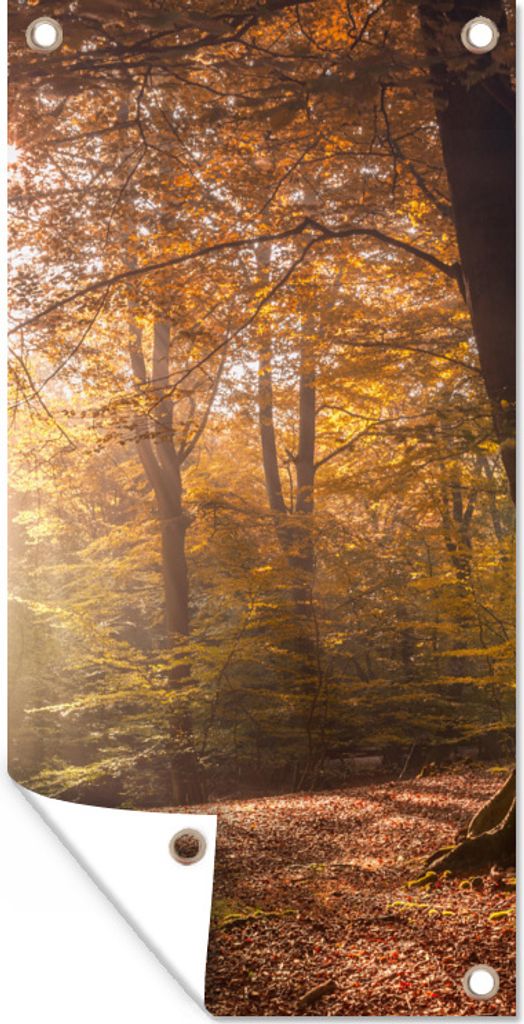 MuchoWow 30x60 cm Outdoor-Poster Gartendeko Sichtschutz Garten Poster für den Garten Bäume - Herbst - Orange