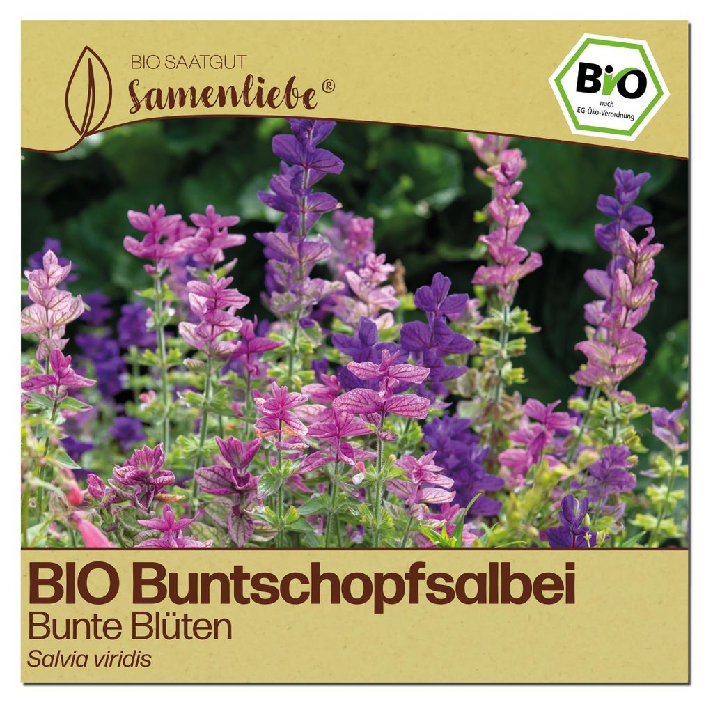 Samenliebe  Buntschopfsalbei Samen | Zierpflanze - bunt - Produktbild 