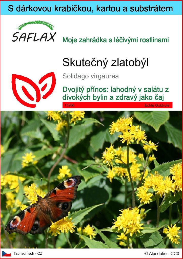 SAFLAX Dárková sada - Skutečný zlatobýl - Solidago Obrázek produktu 