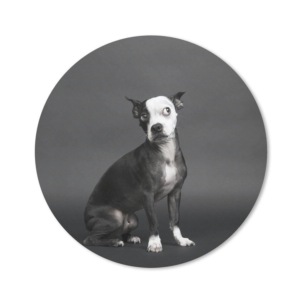MuchoWow Mauspad Mousepad Hund - Spot - Porträt 30x30 cm - Mousepads - Maus Mat - Pad - Mausunterlage