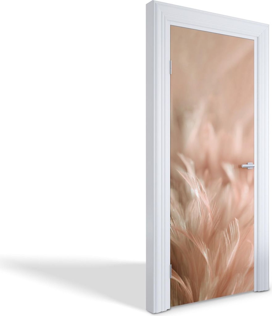 Türfolien Design Selbstklebende Wandsticker Türtapeten - Zarte Federn - 75 x 205 cm