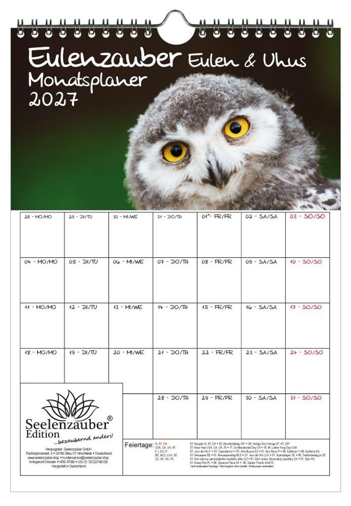Eulenzauber Eulen und Uhus Planer DIN A4 Kalender für 2027 - Seelenzauber