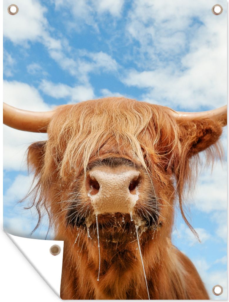 MuchoWow 30x40 cm Outdoor-Poster Gartendeko Sichtschutz Garten Poster für den Garten Schottischer Highlander - Wolke - Tiere