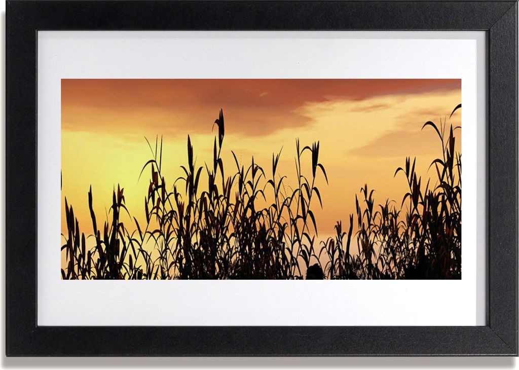 Bild 30x20 MDF-Rahmen Wandkunst Blätter West Meadow Feld