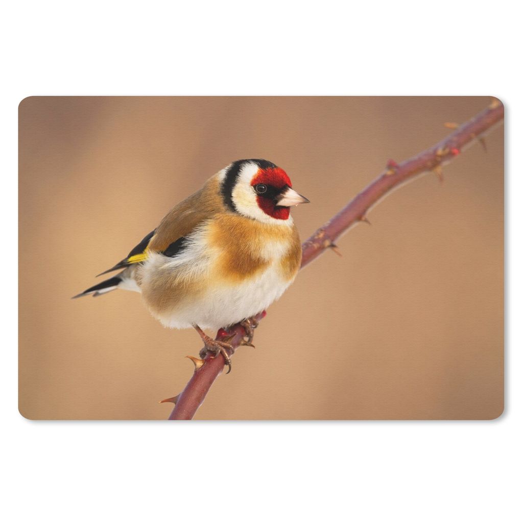MuchoWow Schreibtischunterlage Kropftaube - Vogel - Tiere 60x40 cm - XXL Mauspad - Großes Mauspad