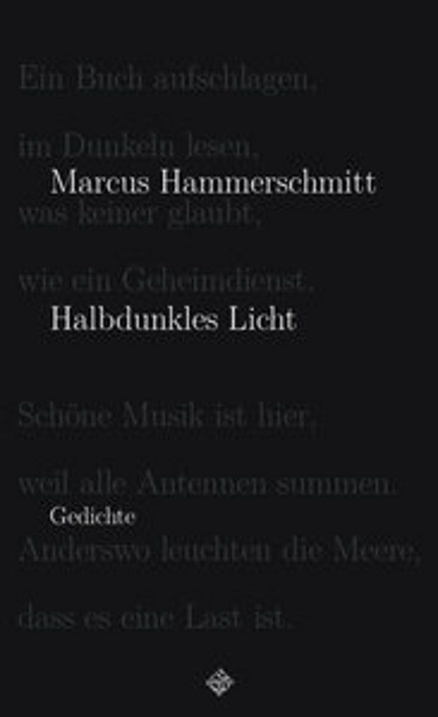 Halbdunkles Licht