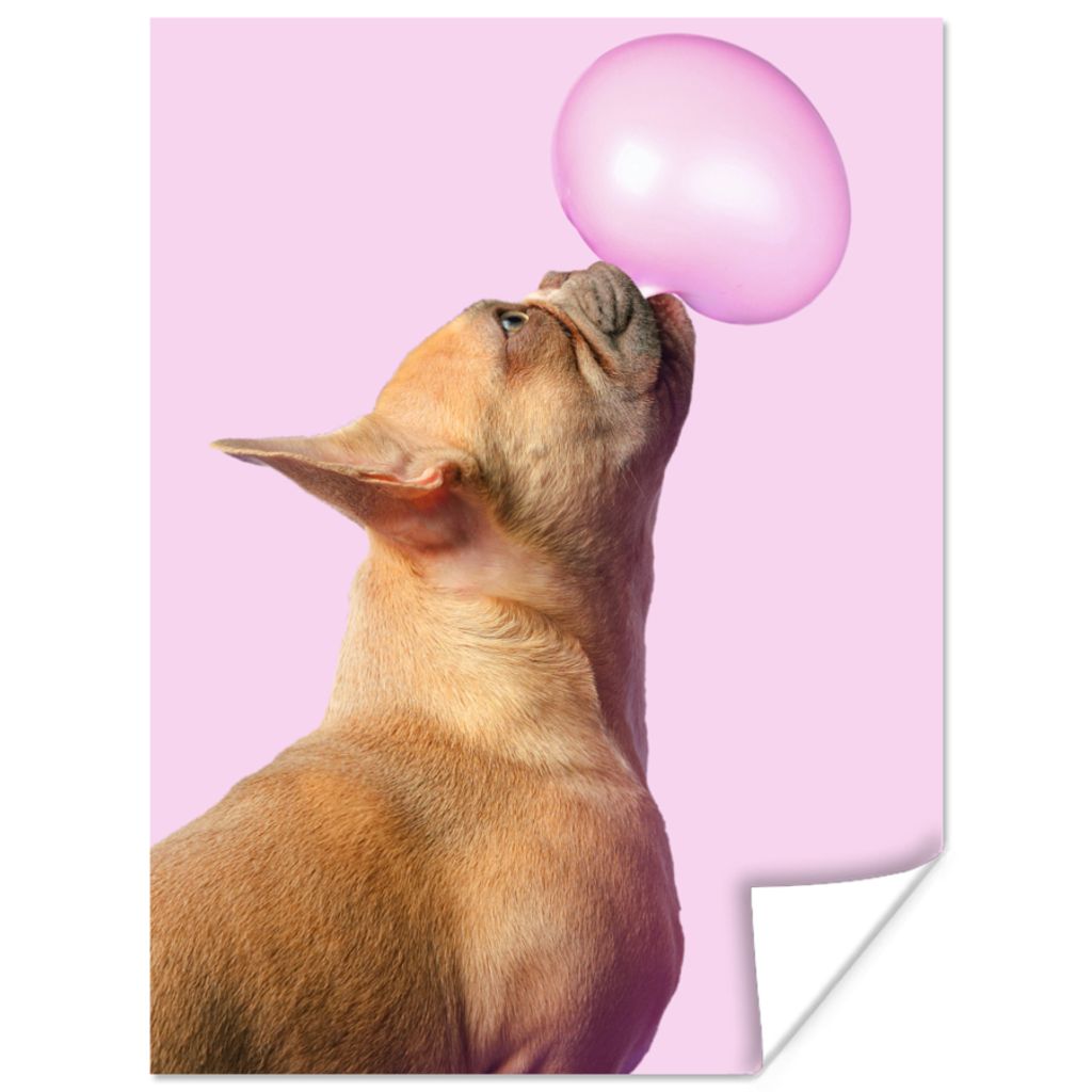 MuchoWow Poster Hund - Tiere - Kaugummi - Rosa 90x120 cm - Wohnzimmer