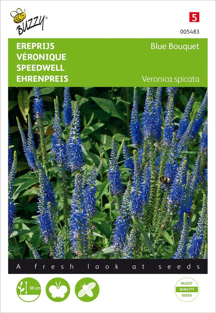 Ehrenpreis Blue Bouquet | Blumensamen von Buzzy Seeds