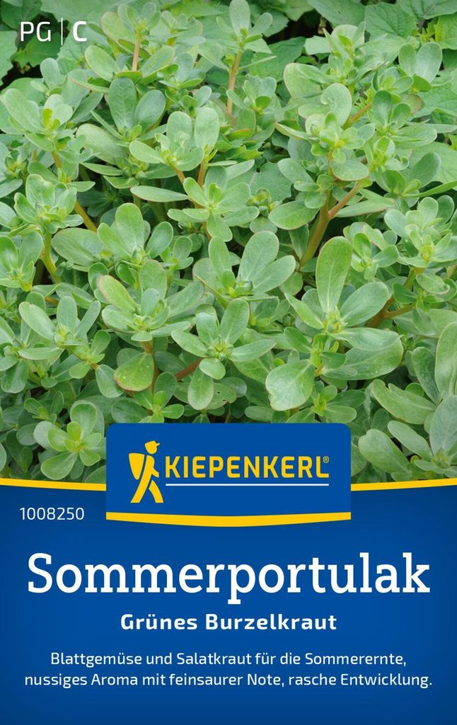 Kiepenkerl Portulaksamen Grünes Burzelkraut Portulaca Produktbild 