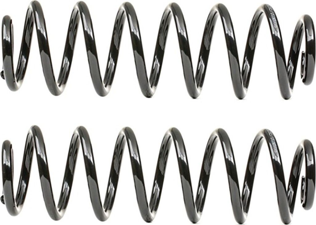 2x RIDEX Fahrwerksfedern Federn Hinten für VW TOURAN (1T1, 1T2) 188C2002