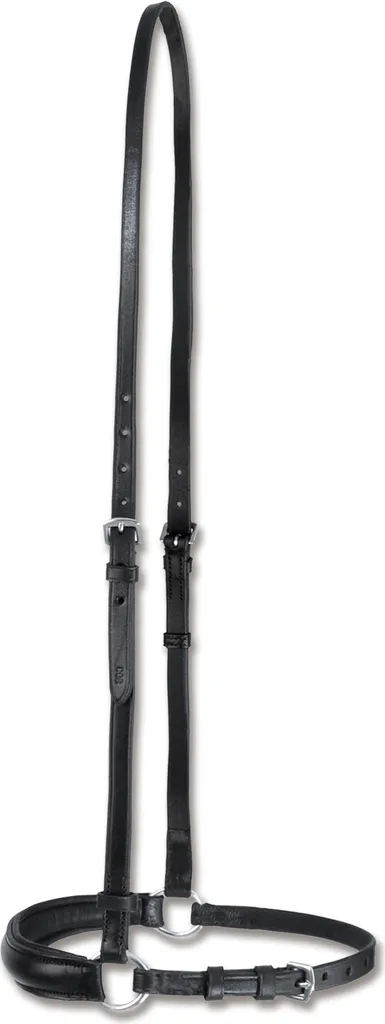 Waldhausen X-Line Archetto Hannoveriano WB - Eleganza in Pelle Nera