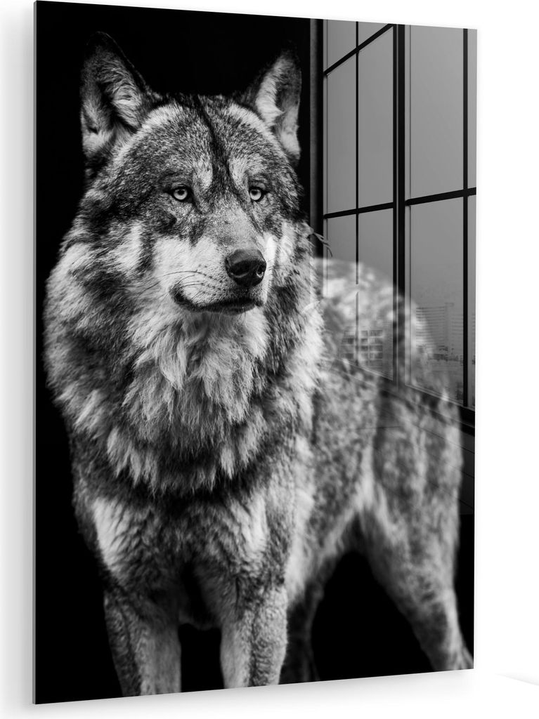 MuchoWow Glasbilder - Bilder auf Wandbild - Foto auf Glas Wolf - Tiere - Wild - Schwarz - Weiß 60x80 cm Wanddekoration aus Glas - Acrylglasbild - ...