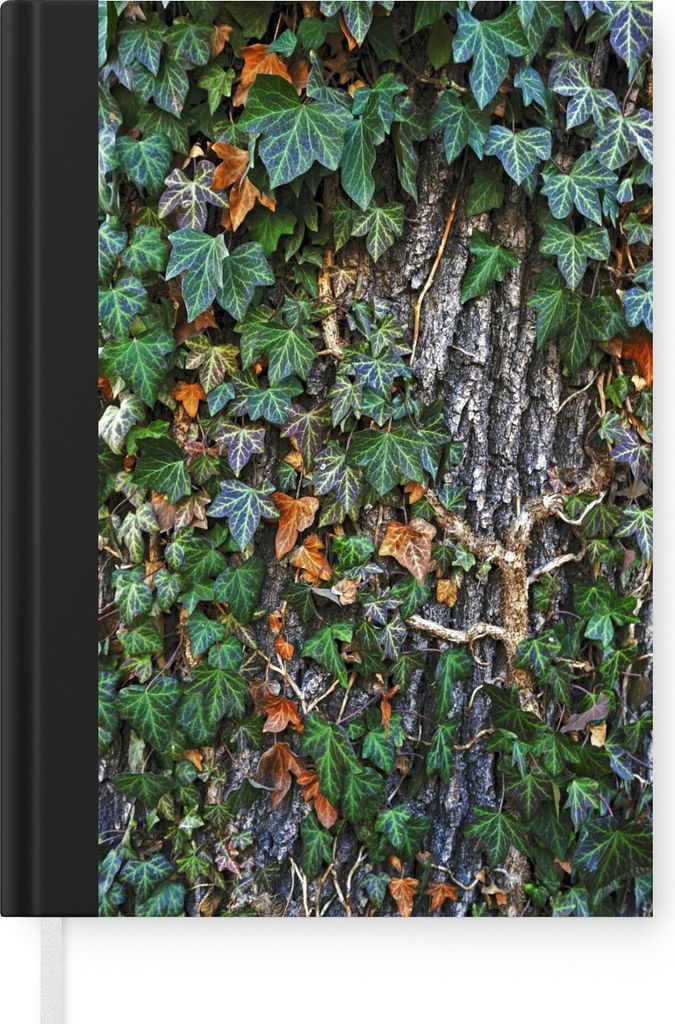 MuchoWow Notizbuch Tagebuch Haushaltsbuch Notebook A5 Eine bunte Hedera wächst auf einer dicken Eiche - Notizblock - Notizheft - Notebook - Schr...
