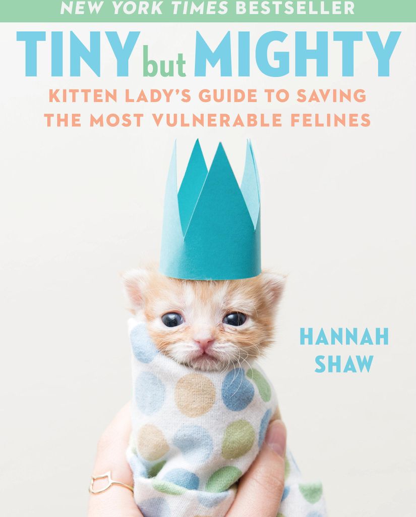 Tiny But Mighty
