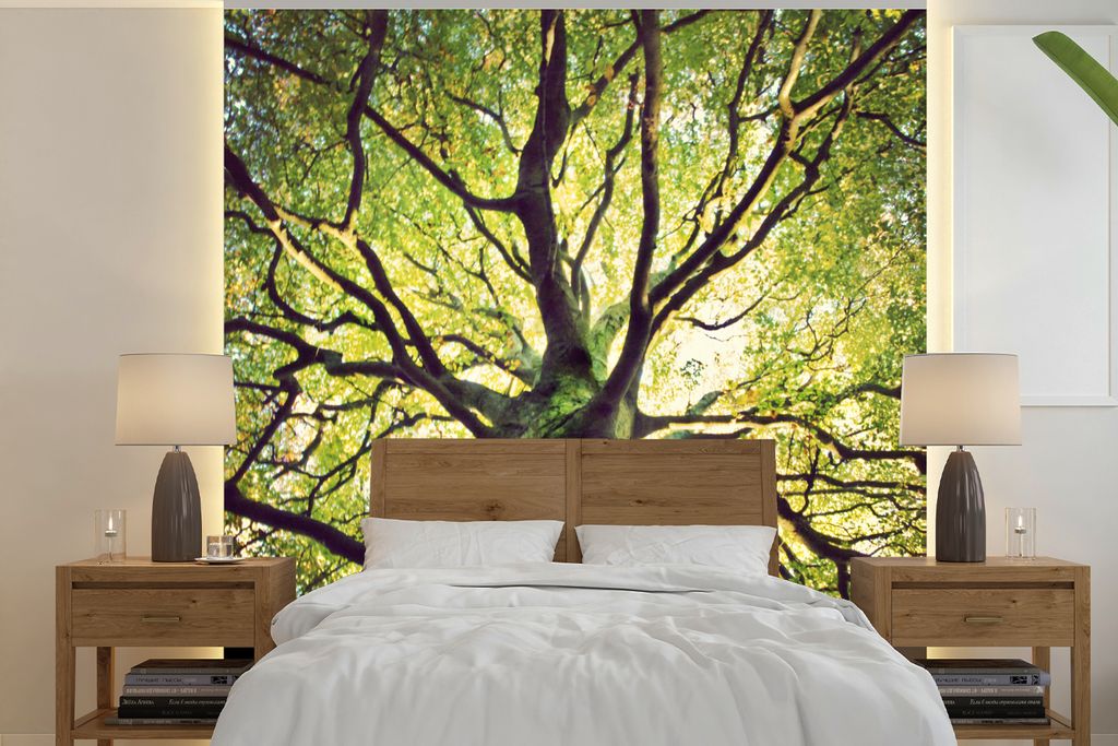 MuchoWow Fototapete für Wohnzimmer oder Schlafzimmer Wandtapete Vinyl Motivtapete Beruhigende Zweige eines grünen Baumes - 220x220 cm - Tapeten