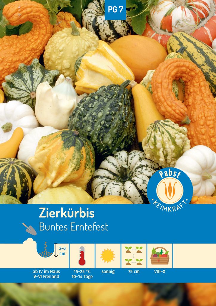 Pabst Keimkraft - Zierkürbis Buntes Erntefest Samen - 171255