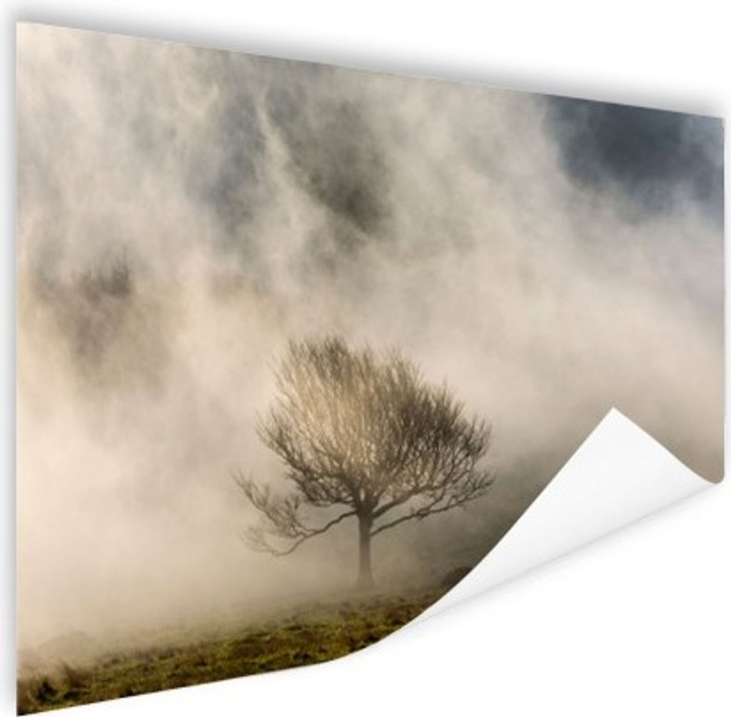 MuchoWow Poster Einfacher Baum im Nebel 90x60 cm - Schlafzimmer