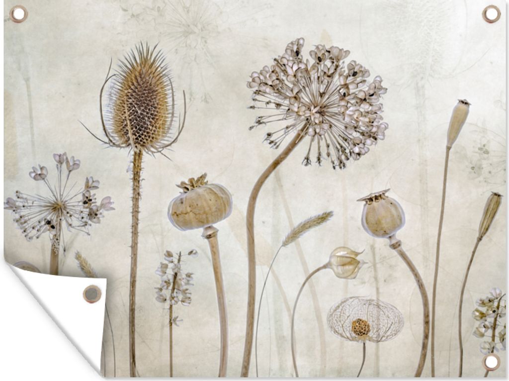 MuchoWow 80x60 cm Outdoor-Poster Gartendeko Sichtschutz Garten Poster für den Garten Blumen - Aquarell - Stilleben - Braun - Vintage