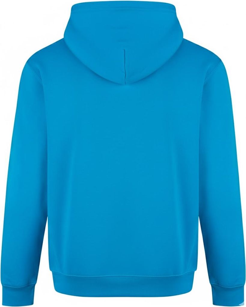 PRORTX - Kapuzenpullover für Herren RW8150 (L) (Irisches Grün)