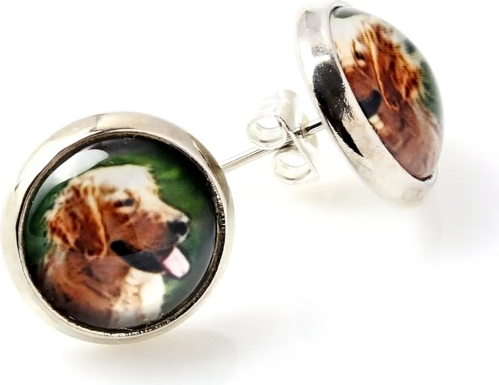 Golden Retriever - Orecchini in una scatola, la tua foto, gioielli fatti a mano, marchio proprio di Art-Dog.