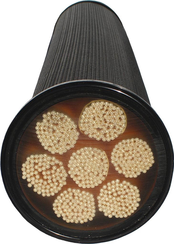 LifeSaver Ersatzkartusche für C1 & C2 Systeme