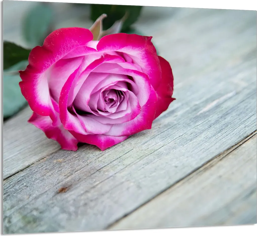 GLASPLATTE FÜR KÜCHE 65x60 Rose
