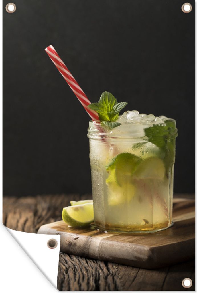 MuchoWow 60x90 cm Outdoor-Poster Gartendeko Sichtschutz Garten Poster für den Garten Mojito mit rot-weißem Strohhalm