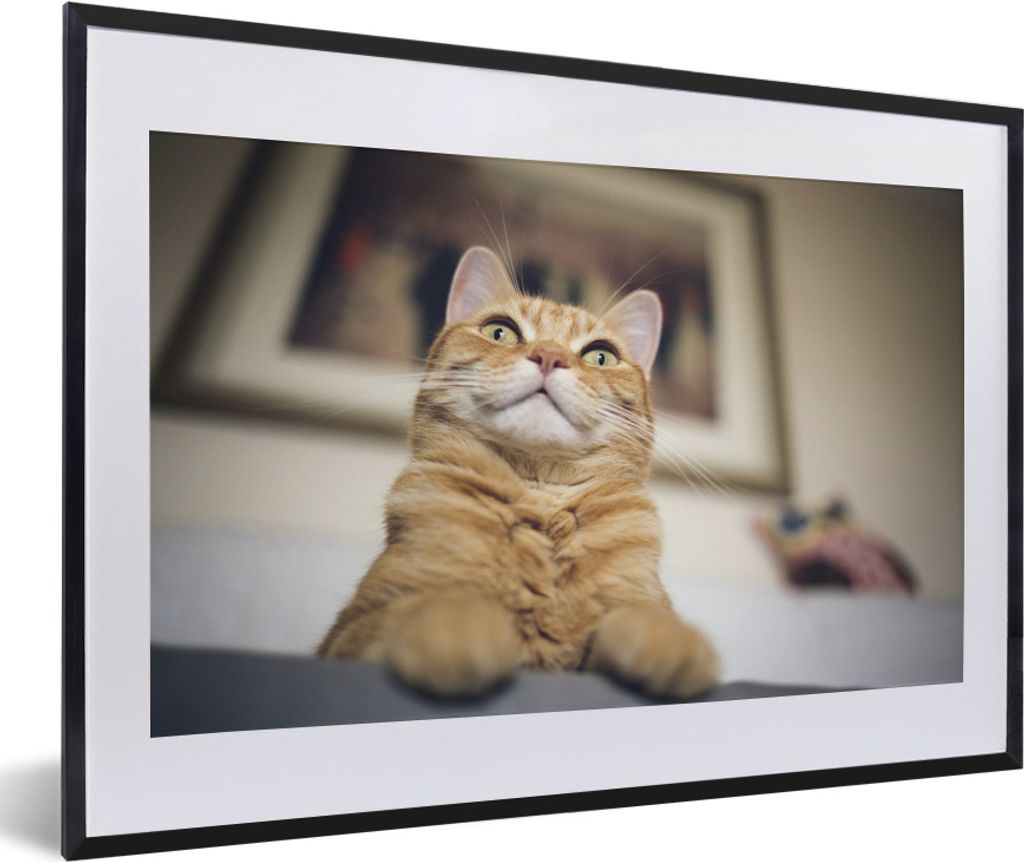 MuchoWow MuchoWow Gerahmtes Poster Katze - Bank - Orange 60x40 cm - Poster mit zchwarzem Bilderrahmen - Schlafzimmer - Plakat in Rahmen - Drucken