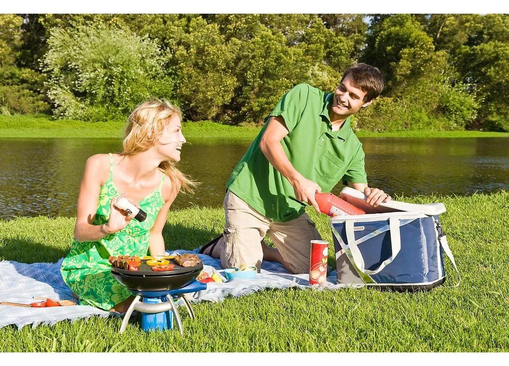 Campingaz Party Grill Barbecue Multifonction avec Allumage Piezo - 7