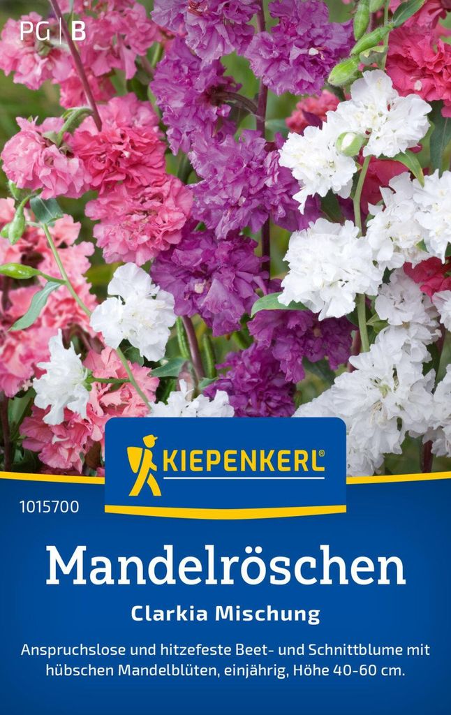 Kiepenkerl Mandelröschensamen Clarkia 150 Pflanzen