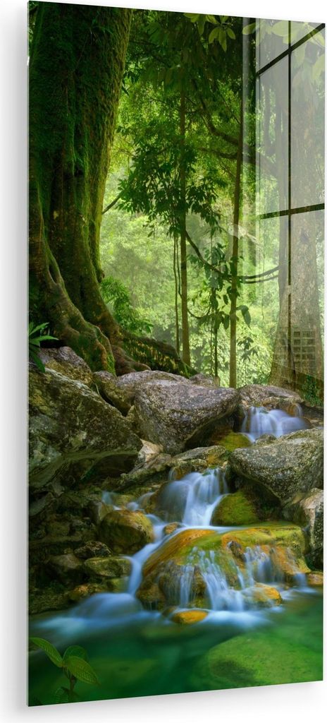 MuchoWow Glasbilder - Bilder auf Wandbild - Foto auf Glas Dschungel - Steine - Wasser - Natur - Pflanzen 60x120 cm Wanddekoration aus Glas - Acrylg...