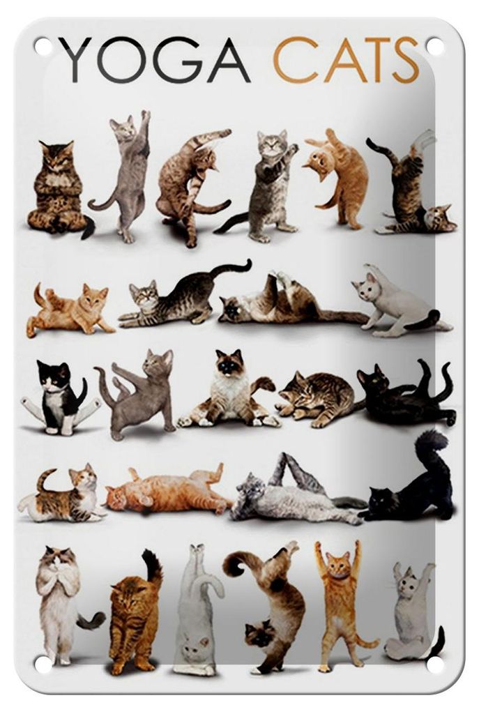 Blechschild Tiere 12x18cm Yoga Cats Katzen Schild