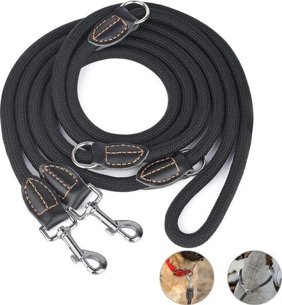 Laisse anti-traction pour grand chien 3m - Fini les douleurs et les ruptures