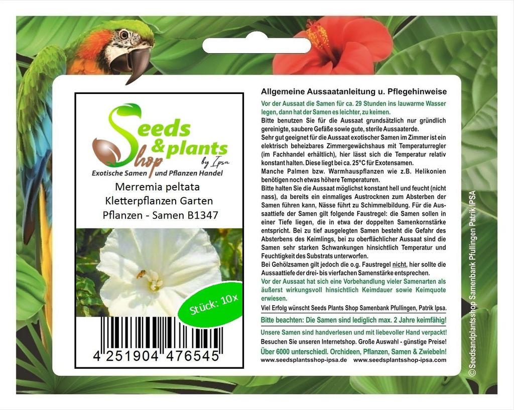 10x Merremia peltata Kletterpflanzen Garten Pflanzen - Samen B1347