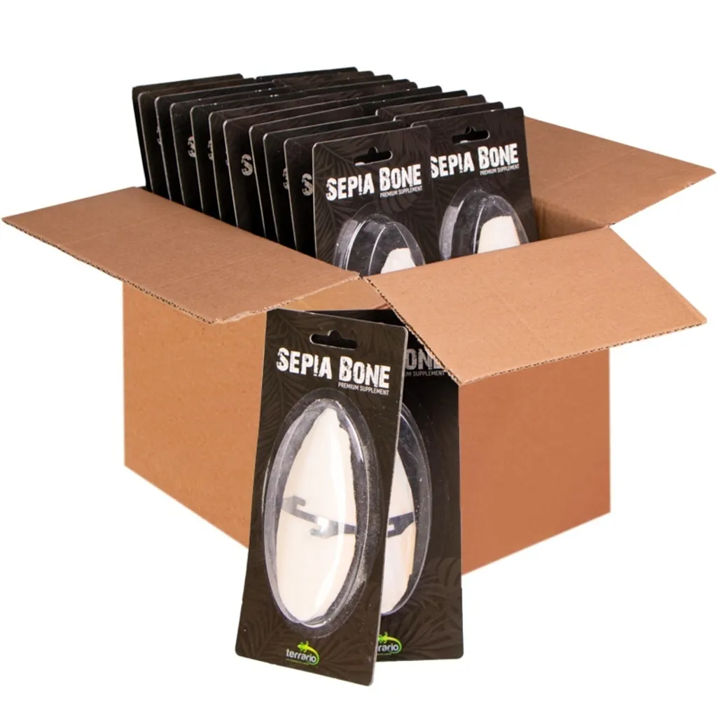 24 Os de Seiche Terrario Sepia Bone: Renforcement Osseux Reptiles