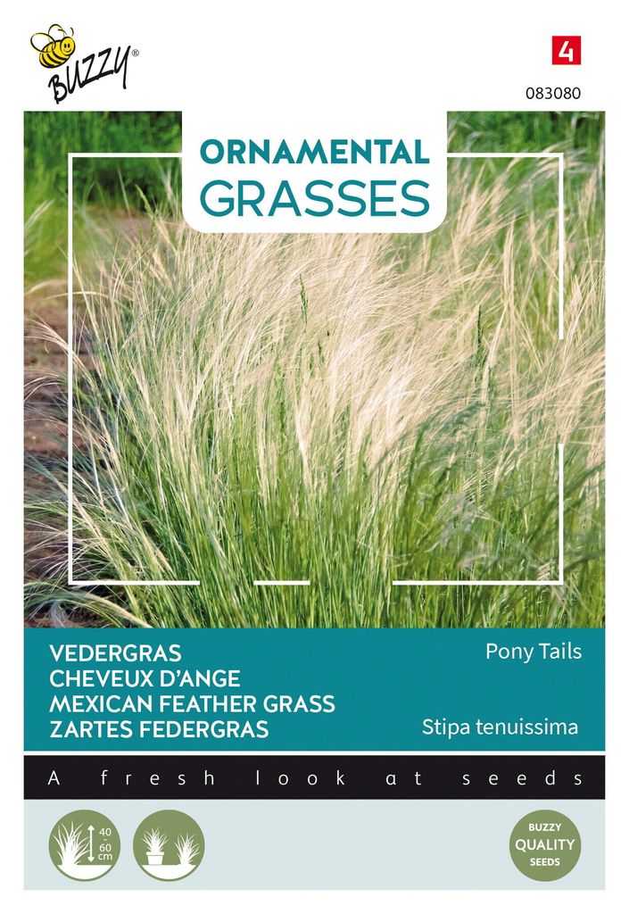 Buzzy Ornamental Grasses Zartes Federgras 'Pony Tails' Produktbild 