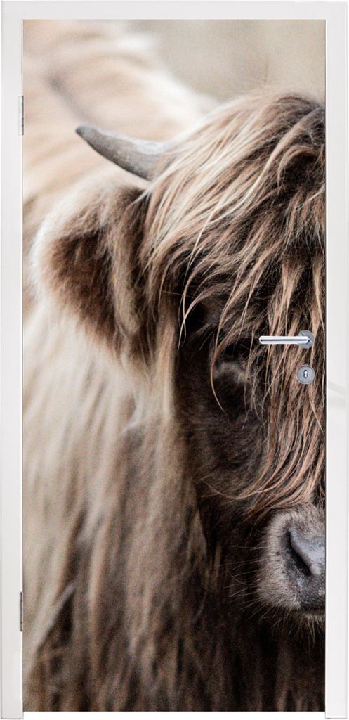 MuchoWow Türtapete Selbstklebende Türfolie Schottischer Highlander - Kuh - Vlies 80x215 cm Türposter Türaufkleber Klebefolie Türklebefolie -...