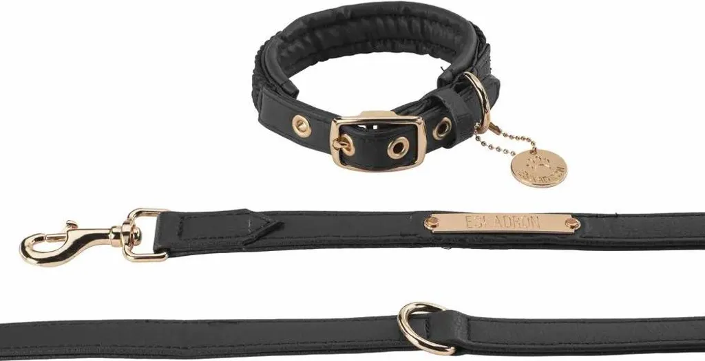 Set Cane Eskadron Heritage 24/25 Nero: Collare e Guinzaglio Faux Leather - 2