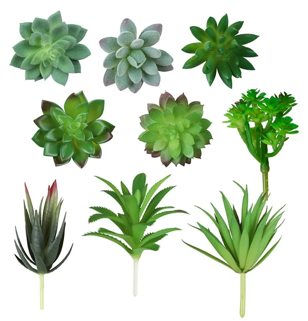 Plantes grasses artificielles : la solution sans entretien pour déco x9