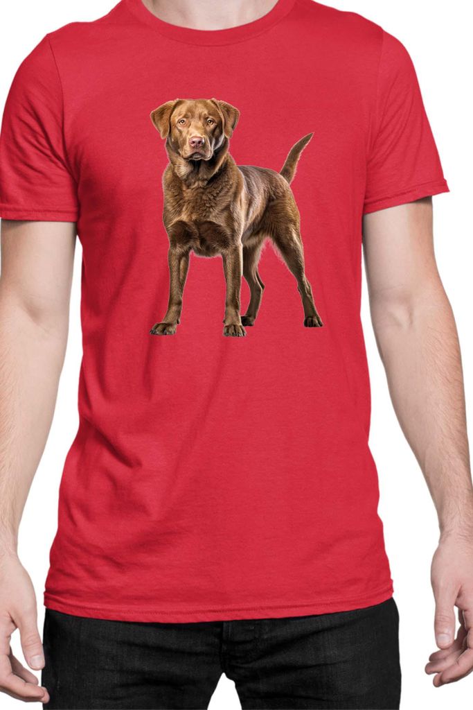 Herren T-Shirt Dogs Breeds Chesapeake Bay Retriever Dog Breed 006, Man 2XL / Rot
