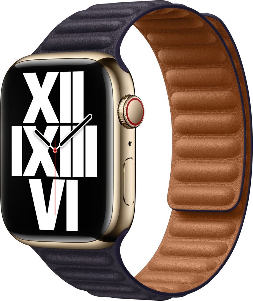 Apple MP873ZM/A Smart Wearable Accessoire Band Violett Produktbild 