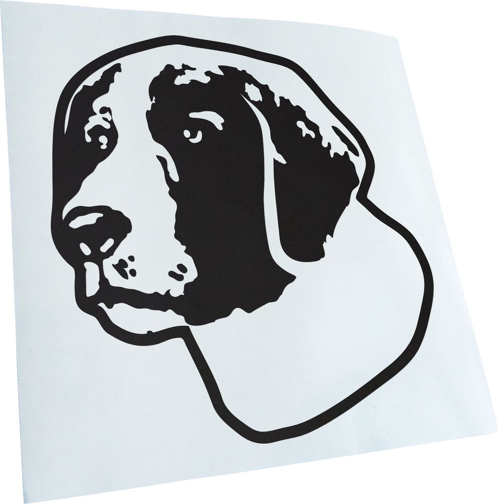 Kiwistar - Autoaufkleber - irish red and white setter Hund - Mattschwarz - 50x45cm - Aufkleber für Auto, Laptop, Fahrrad, LKW, Motorrad mehrfarbig...