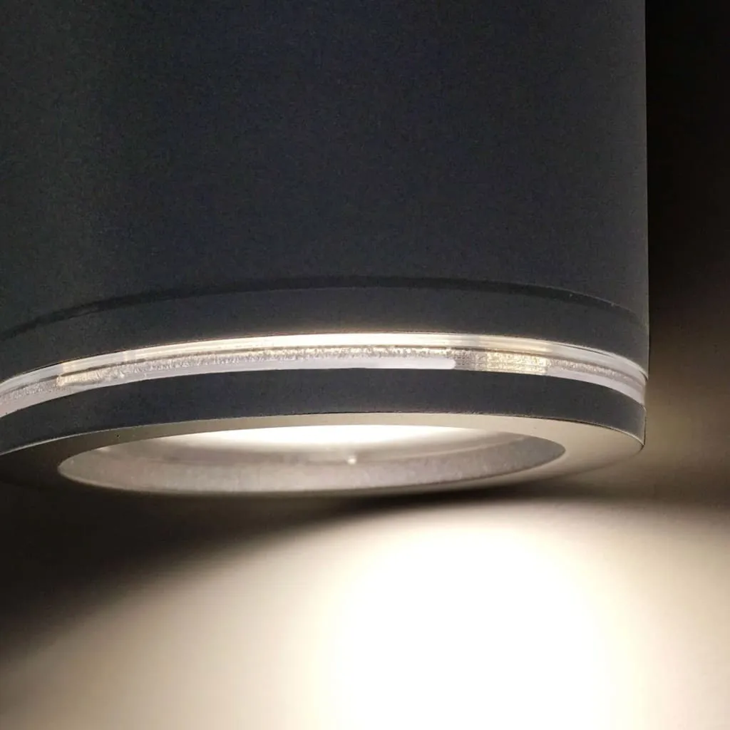 Projecteur extérieur Bluetooth Steinel Spot Garden Sensor Connect Noir LED