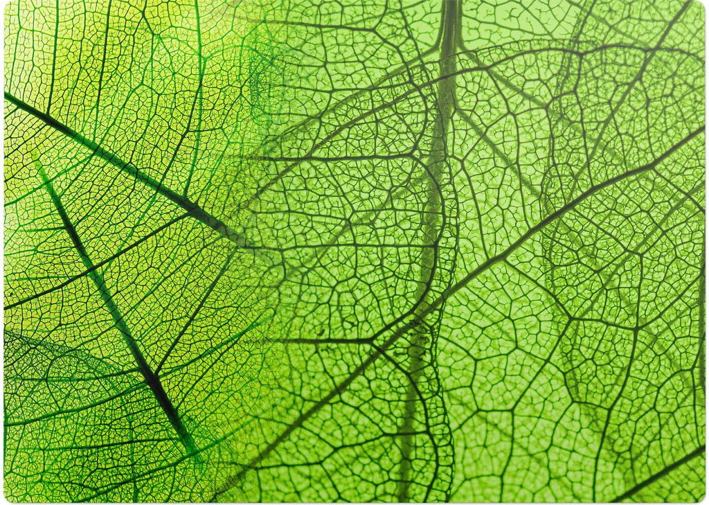 Blatt-Nahaufnahme – Bodenschutzmatte – Rutschfest – Schutzmatte für Büro – Vinylmatte – Stuhlunterlage – 140 x 100 cm